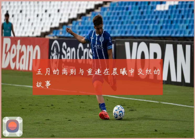 五月的离别与重逢在晨曦中交织的故事