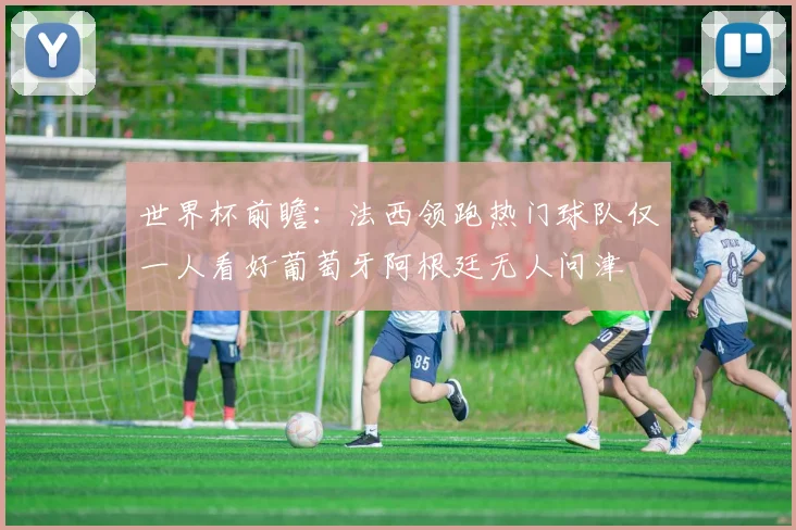 世界杯前瞻：法西领跑热门球队仅一人看好葡萄牙阿根廷无人问津