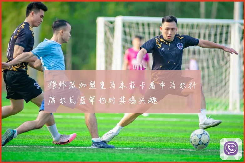 穆帅若加盟皇马本菲卡看中马尔科席尔瓦蓝军也对其感兴趣